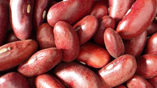 Shiny Raw Kidney Beans Close Up