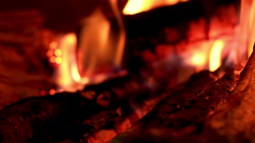 Detail shot of flames consuming wooden logs in a bonfire.