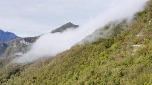 Mystic aerial flight showing beautiful foggy wild dense plants on the mountain edge. Clouds covering