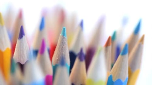 Bright Colorful Pencils Close Up Display
