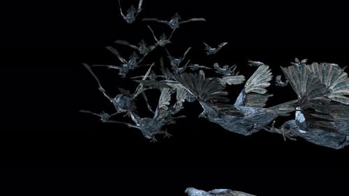 Animated Swarm of Stylized Crows Flying