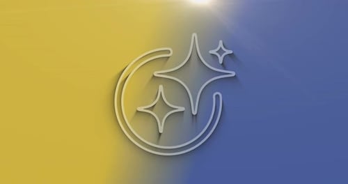 Minimalist Line Art Clean Sparkle Icon Animation