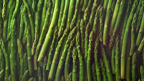 Fresh Green Asparagus Spears Background Healthy Food Concept