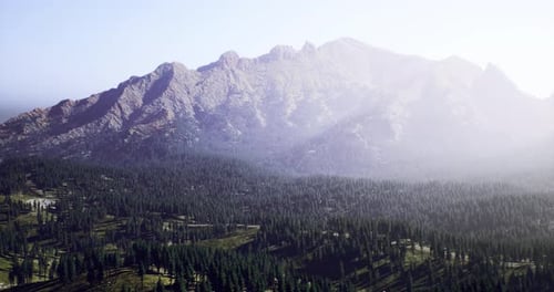 Breathtaking Mountain Landscape with Dense Forest and Soft Sunlight