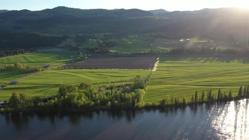 Aerial View of Green Farming Fields and Farmland