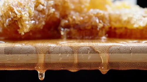 The camera shifts its focus from honeycomb in the background to the honey drops in the foreground.