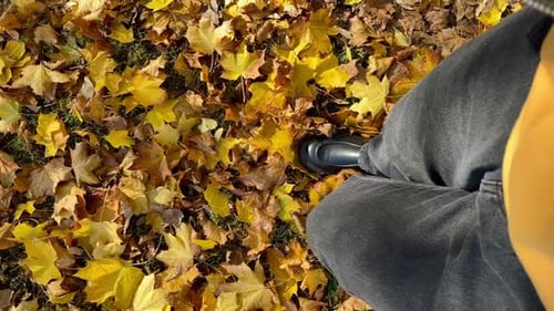 Vertical Video Feet in Boots Rustle in Autumn with Fallen Yellow Leaves in the Park