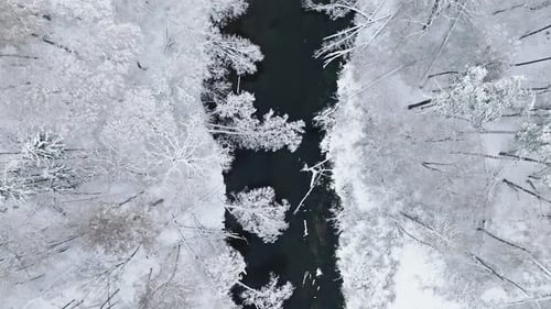 Flight over forest with snow and flowing river in Poland.