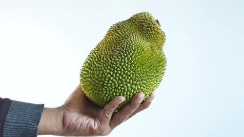 Men Holding a Jackfruits Against White Background