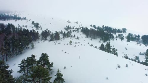 Winter Aerial View