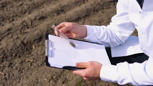 Scientist Studying Sample of Soil in Field Close Up