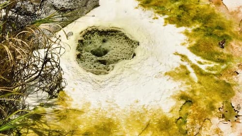 Hot Geothermal Spring Sipoholon Hot Spring Sumatra Indonesia