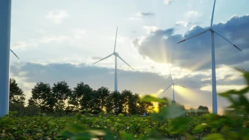 Wind Turbines Standing In Sunset. Farm With Wind Turbines, Sunset