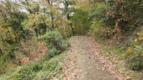 Herbst-Pfad-Drohne
