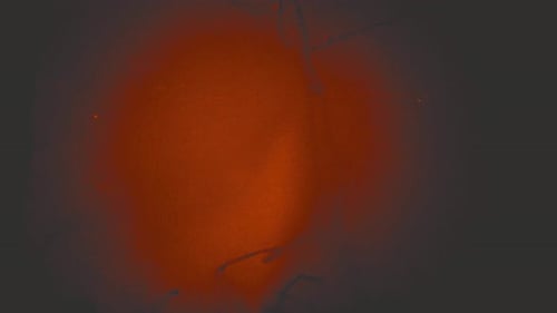 Abstract orange blurred background design texture pattern art image visual graphic element illustrat