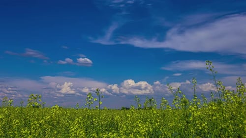 Timelapse grand angle avec paysage nuageux