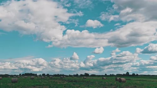 Hay Bales in Rural Field on Cloudy Day