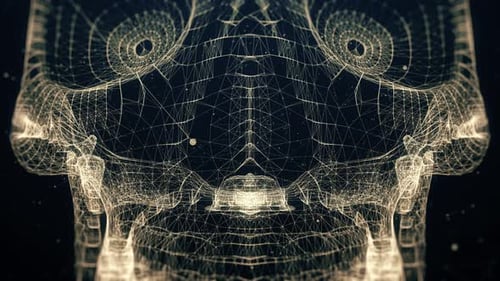 Skull Face Human Scan