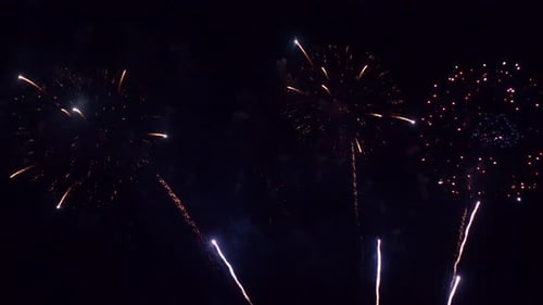 Colorful Fireworks Exploding in the Night Sky