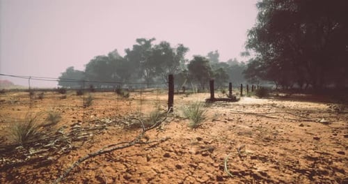 Rural Landscape with Fence and Dry Terrain Camera Movement