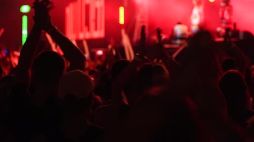 Concert Crowd Silhouettes Enjoying Live Music Show
