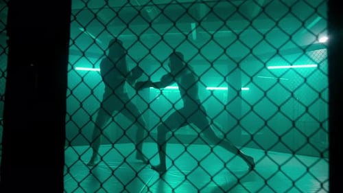 Two Silhouetted Men Fighting in an Octagon