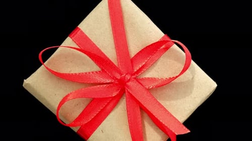 Wrapped Gift with Red Ribbon