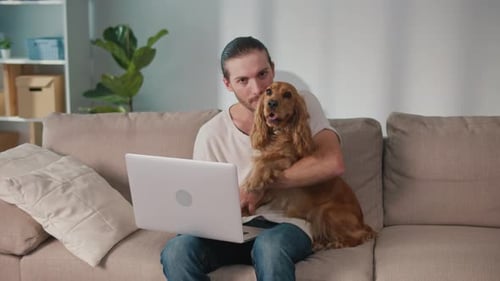 Fluffy Coworker Cozy Balance Man Works on Laptop and Plays With His Dog