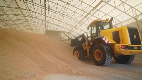 Industrial Front Loader Managing Bulk Grain Storage Inside Large Warehouse