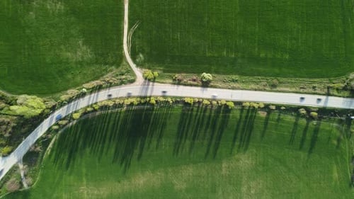 Aerial View on Road Cutting Through Vibrant Green Wheat Field in Countryside Field of Wheat Blowing