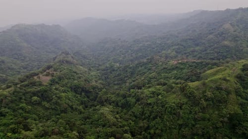 Aerial Footage On Dense Daytime Jungle