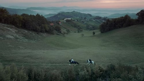Aerial view of young women riding horses through the countryside fields in the evening.
