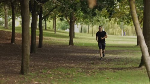 Young Athletic Man Jogging Through Trees in Summer Park