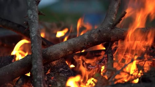 Closeup woods burning in the campfire, slow motion