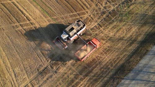 Combine Harvester Transferring Crop to Truck, Aerial View