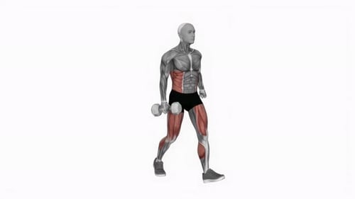 Animated Human Body Performing Dumbbell Walking Lunge Exercise