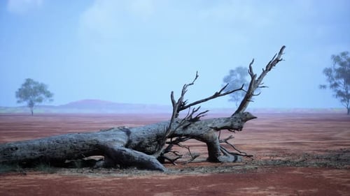 A Barren Desert Landscape with a Solitary Dead Tree Standing Tall