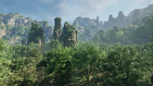 A Lush Green Forest with Tall Trees and Sunlight Streaming Through the Leaves