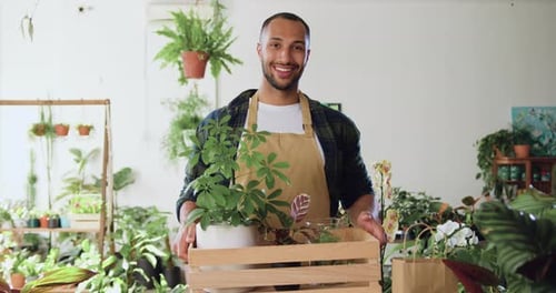 Portrait of young african american man florist in apron holding wooden box witch potted plant in flo
