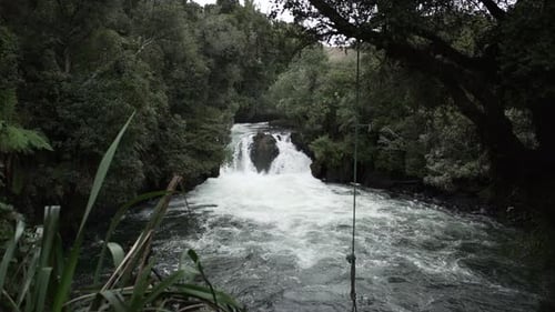 Natural Waterfall on the River By the Green Forest New Zealand