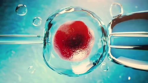 In Vitro Fertilization or Artificial Insemination Procedure