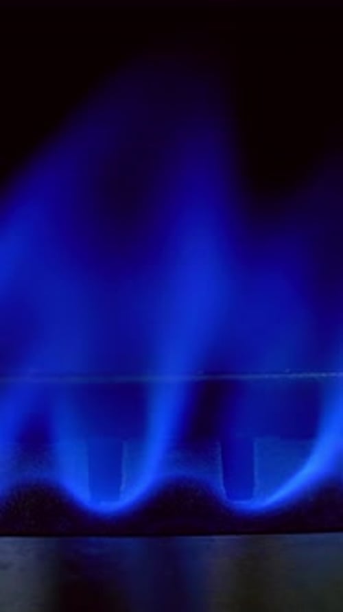Gas Stove Burner Blue Flame. Kitchen gas cooker with burning fire propane gas