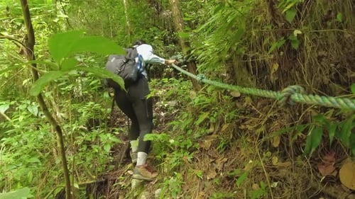 Woman uses helpful rope on steep section of lush green jungle hike