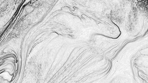 Monochrome Liquid Marble Texture Abstract Animated Background