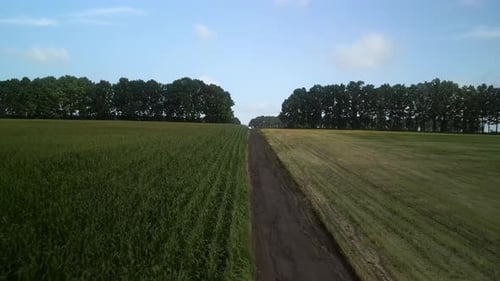 Green field aerial view in Ukraine