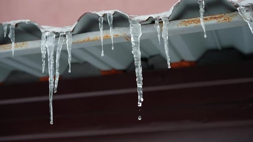 CloseUp of Melting Icicles on Metal Roof Edge During Winter Thaw