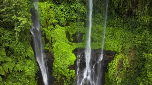 Majestic Tropical Waterfall Cascading Down A Lush Green Jungle Cliff