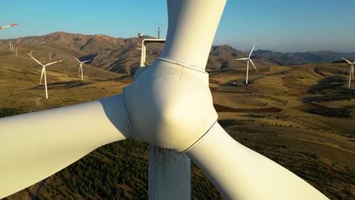 Wind Tribunes and Spectacular Nature Scenes