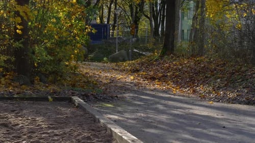 Slow motion tilt up, Public park pathway, Autumn colors, fall leaves on ground, Calm neighborhood
