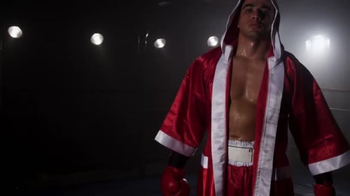 Sweaty young adult boxer in boxing ring